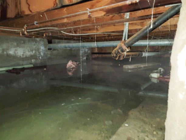 Best Commercial water damage restoration  in Aloha, OR