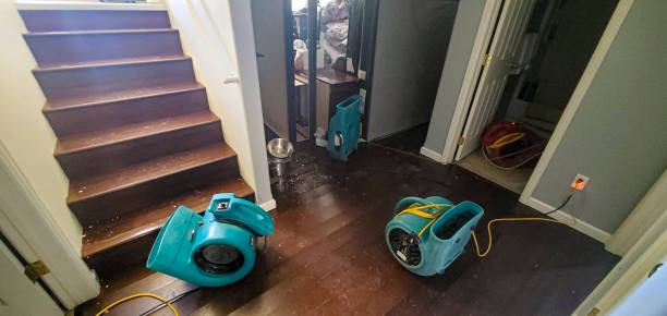 Water damage restoration experts in OR